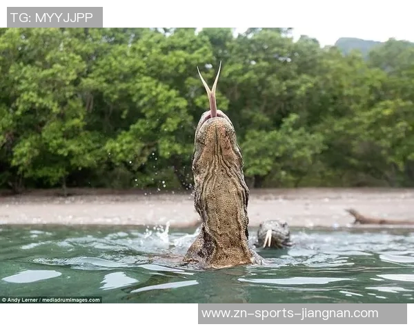 意媒曝菲尔克鲁格客战科莫遭窃房间物品原本无需参赛引发关注